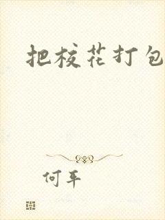 把校花打包带走