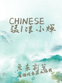 CHINESE猛1浪小辉