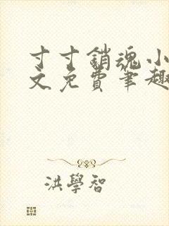 寸寸销魂小说全文免费笔趣阁