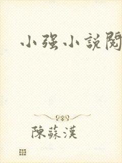 小强小说阅读网