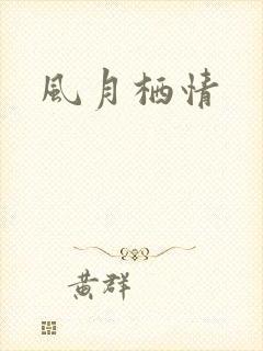 风月栖情