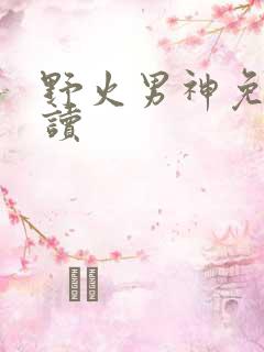 野火男神免费阅读