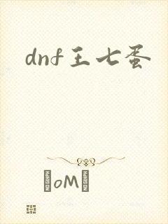 dnf王七蛋