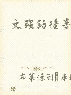 文强的后台是谁