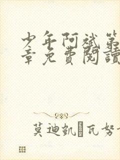 少年阿斌第13章免费阅读