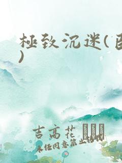 极致沉迷(臣年)