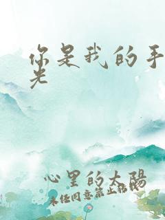 你是我的手冢国光