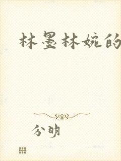 林墨林婉的小说