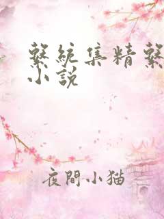 系统集精系统 小说