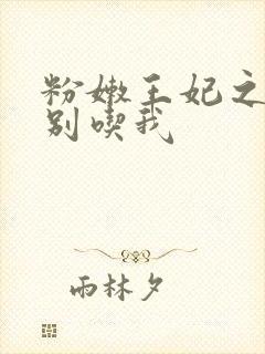 粉嫩王妃之殿下别吃我