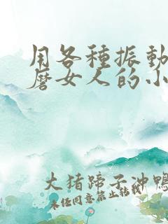 用各种振动器折磨女人的小说