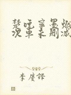 楚晚宁墨燃第一次车未删减