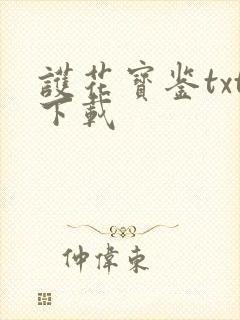 护花宝鉴txt下载