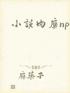 小说肉糜np