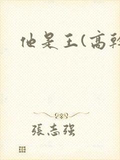 他是王(高干)