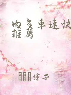 肉多车速快的书推荐