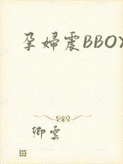 孕妇震BBOX