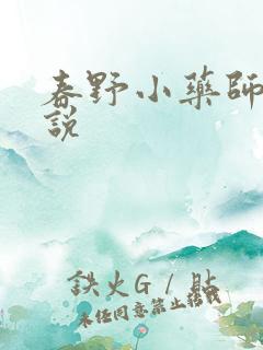 春野小药师 小说