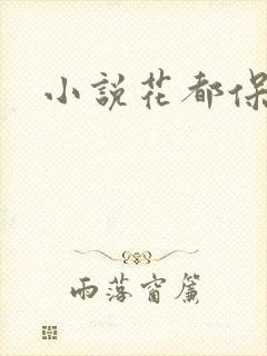 小说花都保镖