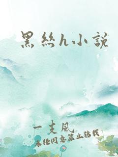 黑丝h小说