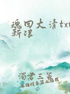 魂回大清txt新浪