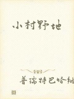 小村野地
