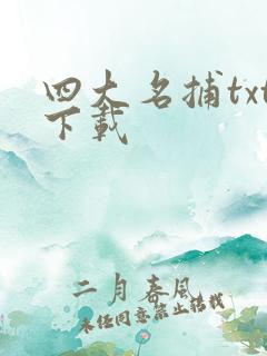 四大名捕txt下载