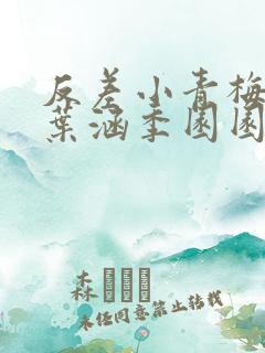 反差小青梅不经叶涵季园园全章