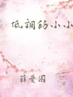 低调的小小宫女