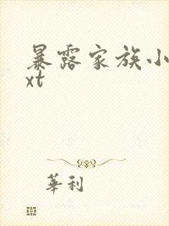 暴露家族小说txt