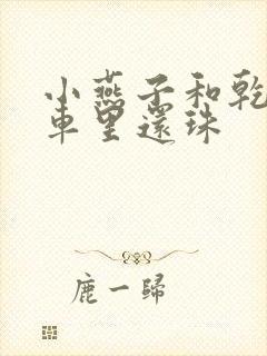 小燕子和乾隆在车里还珠