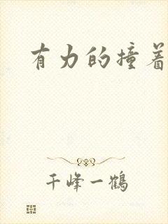 有力的撞着贵妃