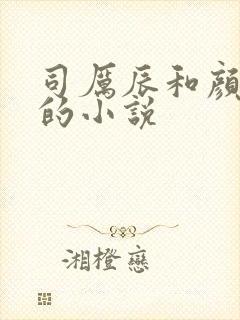 司厉辰和颜辞兮的小说