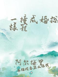 一撞成婚总裁花样宠