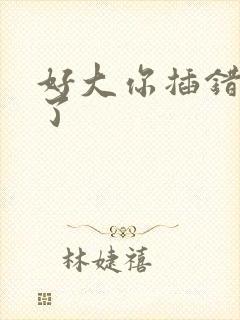 好大你插错地方了