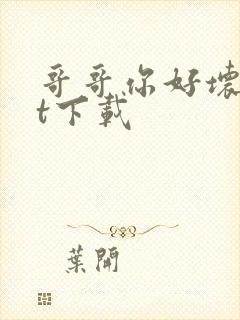 哥哥你好坏txt下载