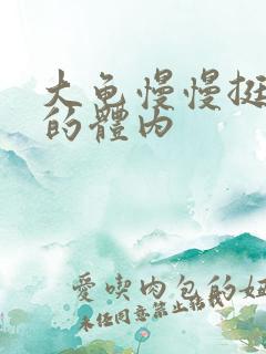 大龟慢慢挺进我的体内