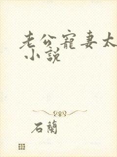 老公宠妻太甜蜜 小说