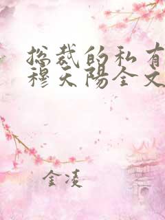 总裁的私有宝贝穆天阳全文阅读