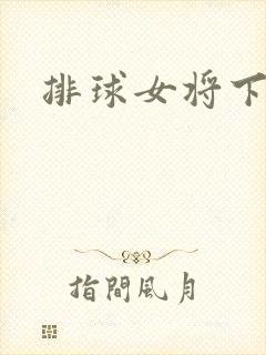 排球女将下载