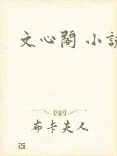 文心阁 小说
