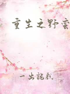 重生之野蛮盗贼