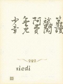 少年阿斌第13章免费阅读