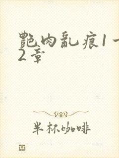 艳肉乱痕1一12章