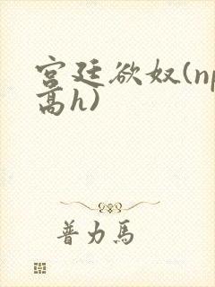 宫廷欲奴(np高h)