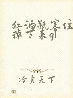 红酒瓶塞住不准掉下来gl