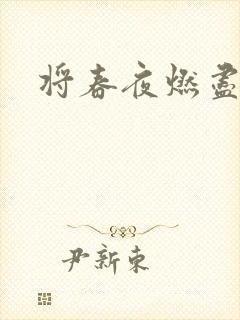 将春夜燃尽