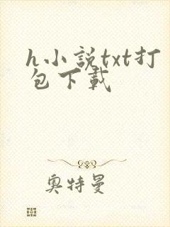 h小说txt打包下载