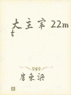 大主宰 22mt