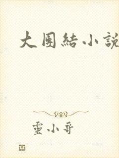 大团结小说全文